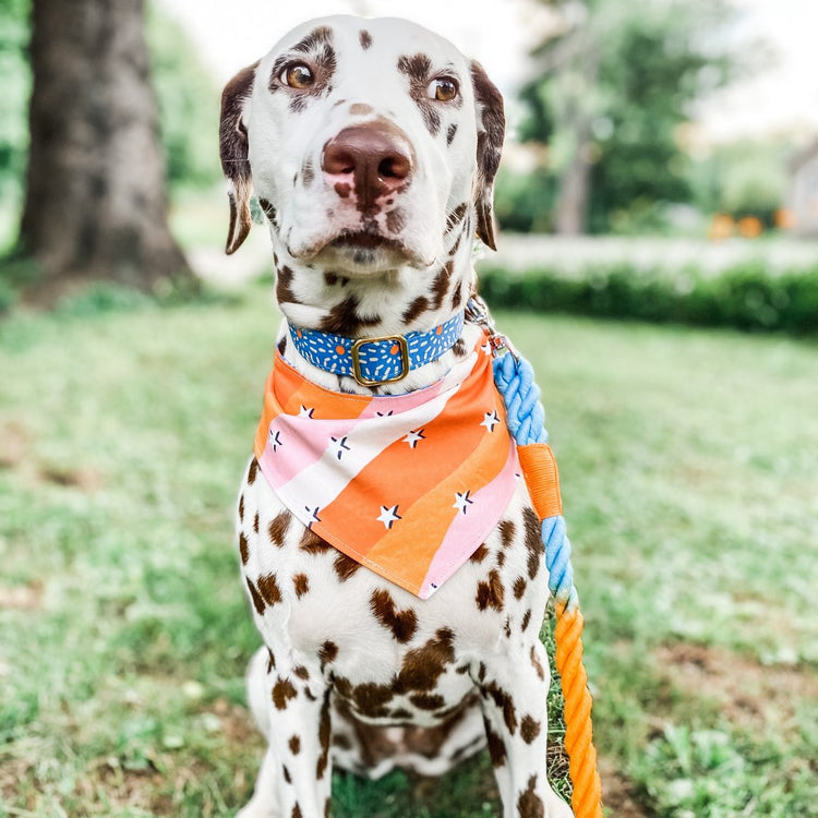 Cotton Rope Leashes