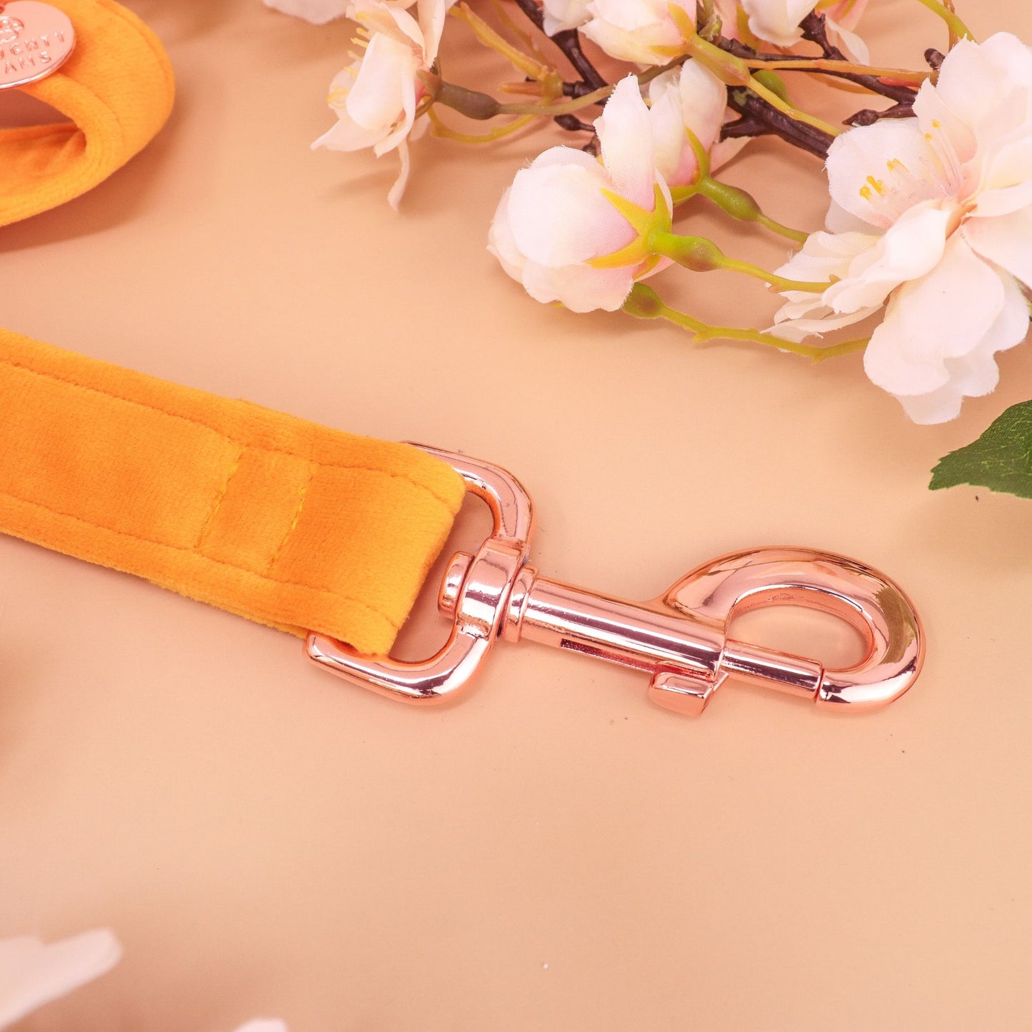 "HAWAII" LEASH