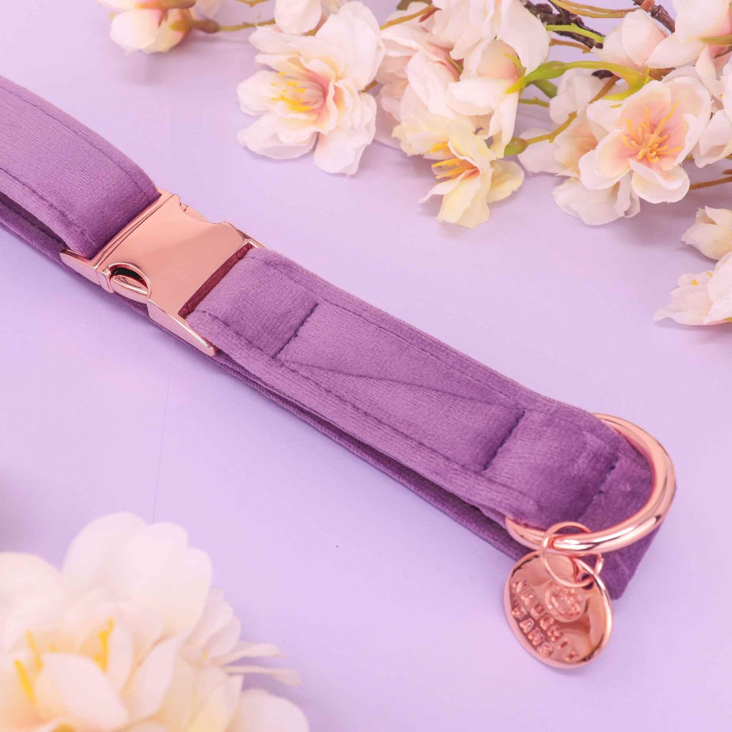 "FLORENCE" COLLAR