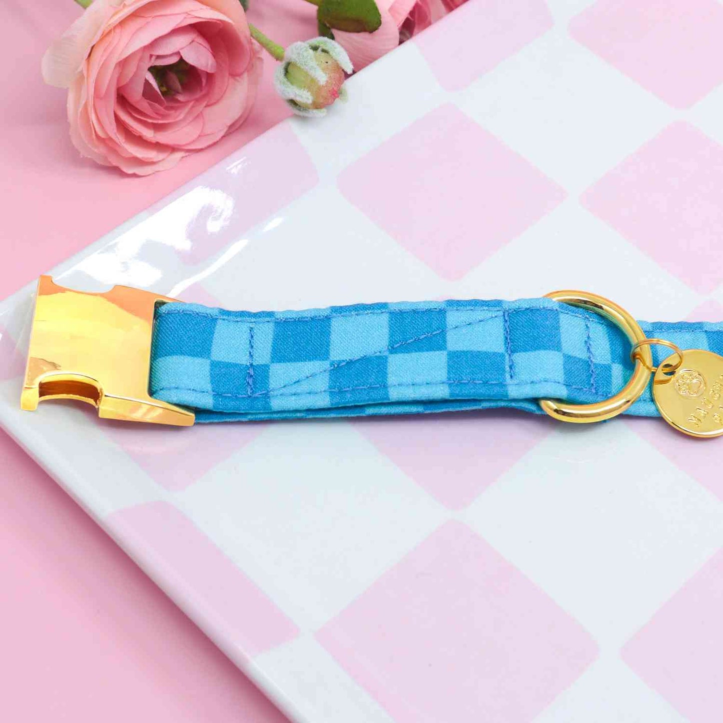 "Coastal Blue" Collar