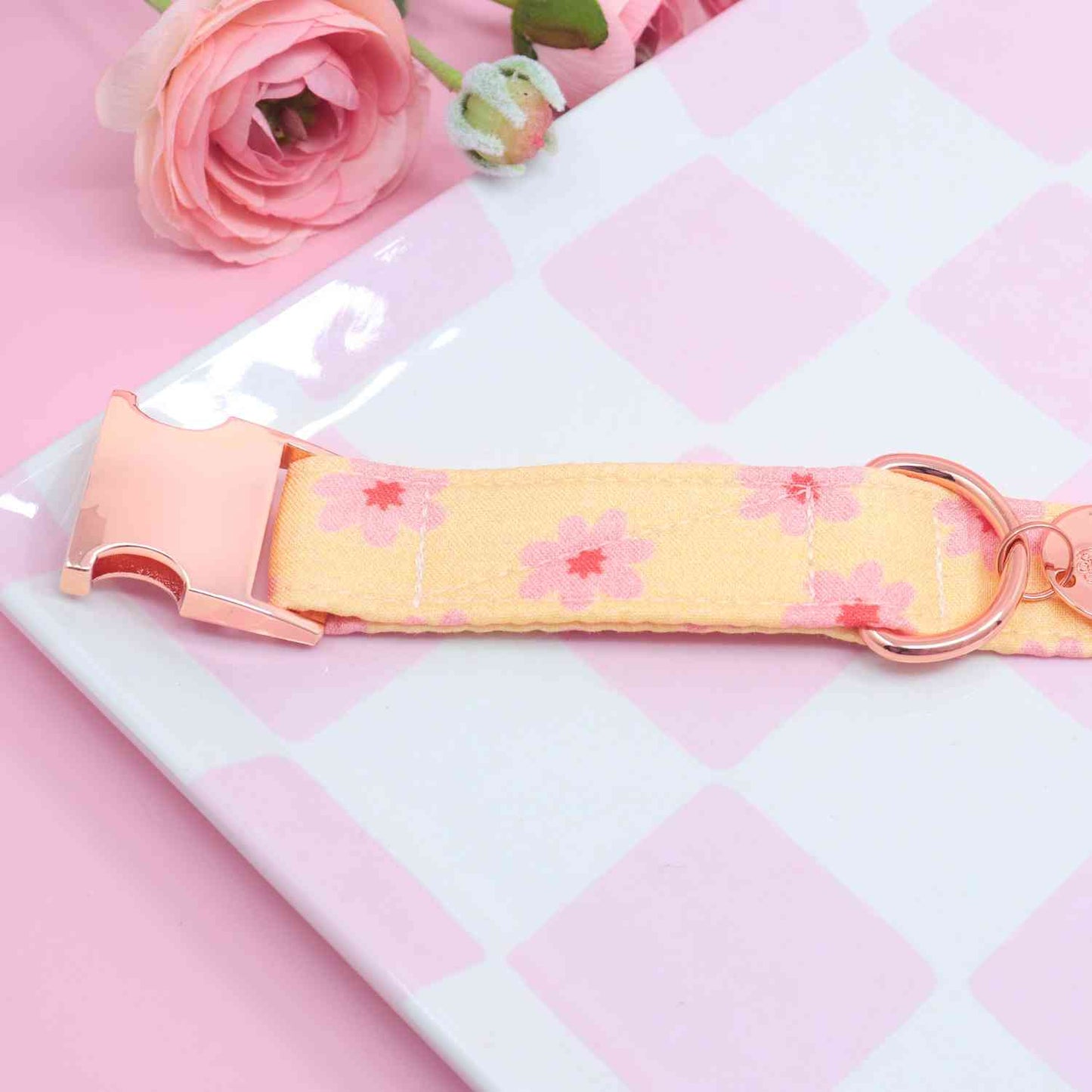"Gold & Blush" Collar