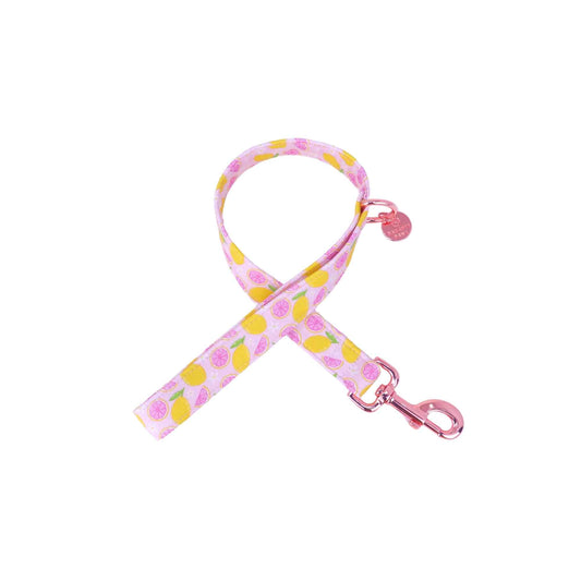 "Pink Lemonade" Leash