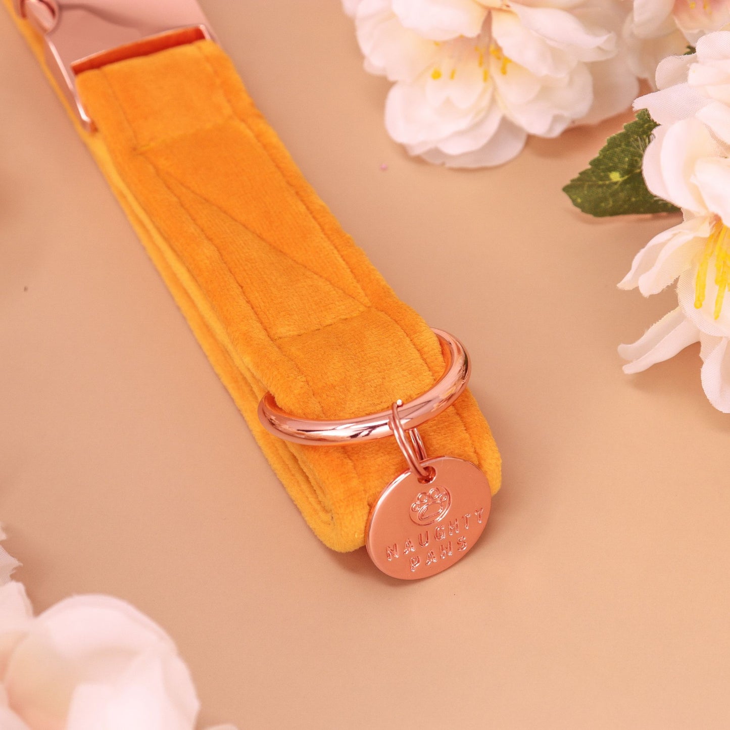 "HAWAII" COLLAR