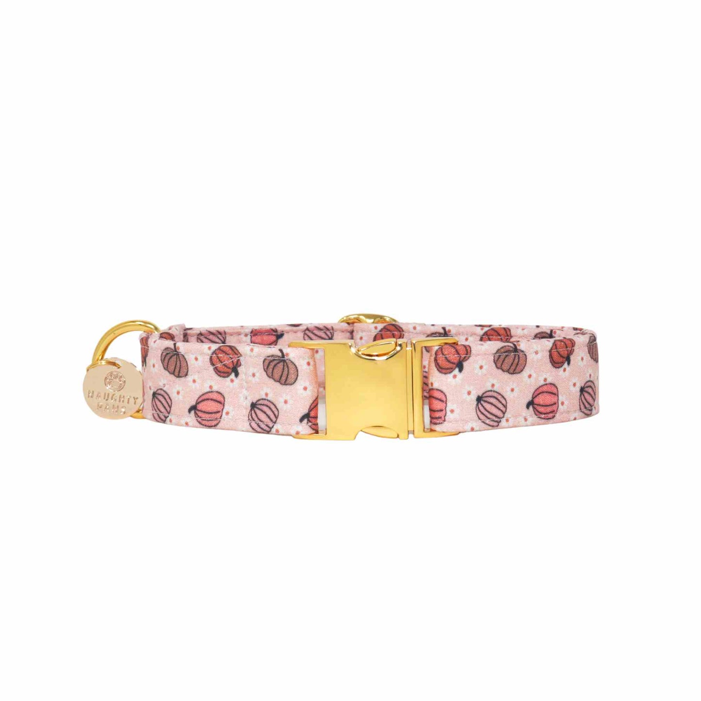"My Little Pumpkin" Collar