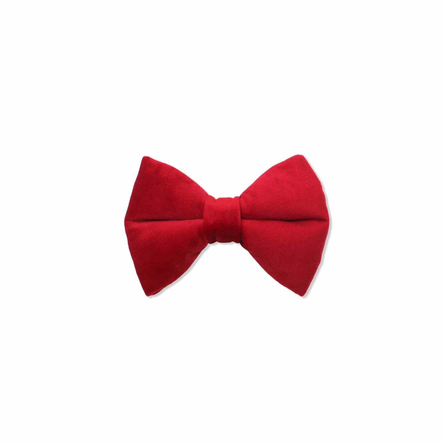 "RUBY" PUFFY BOWTIES