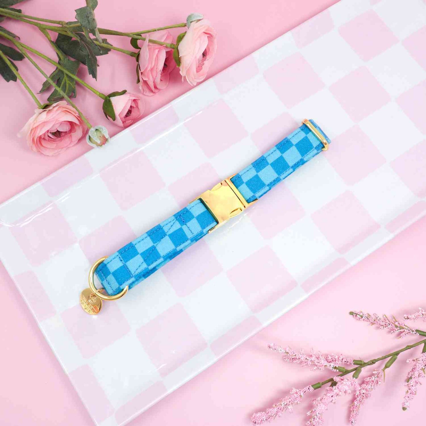 "Coastal Blue" Collar