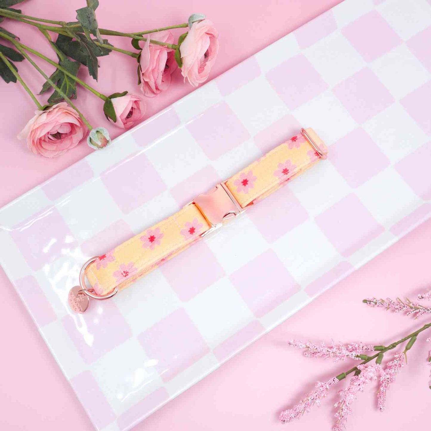 "Gold & Blush" Collar