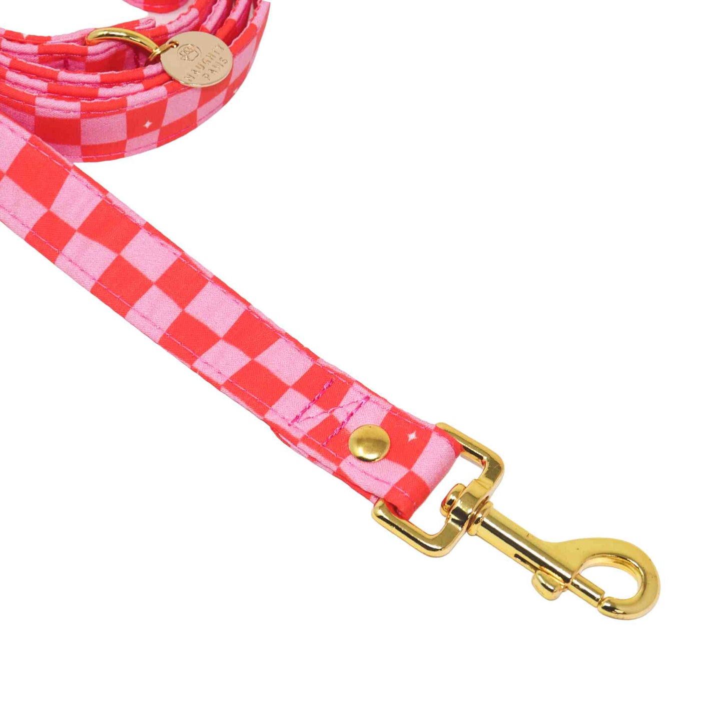 "Groovy Christmas" Leash