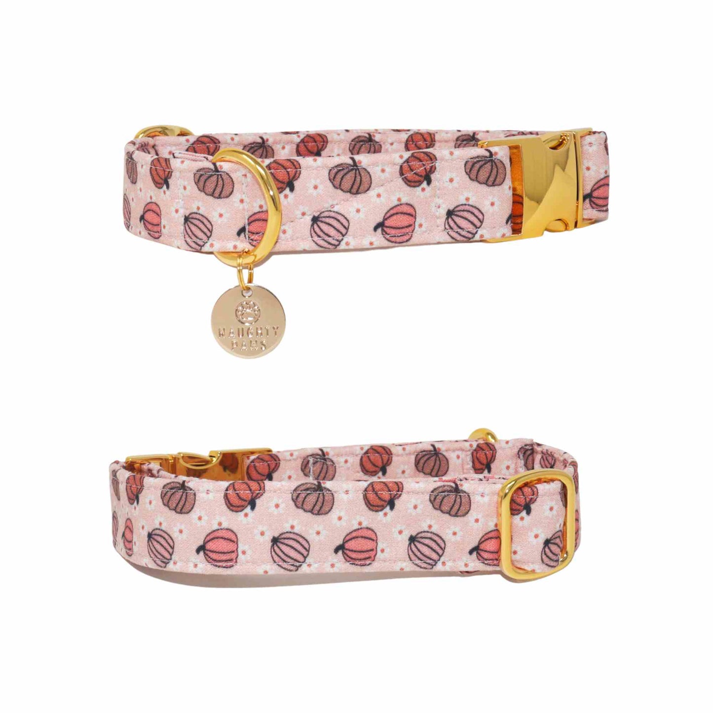 "My Little Pumpkin" Collar