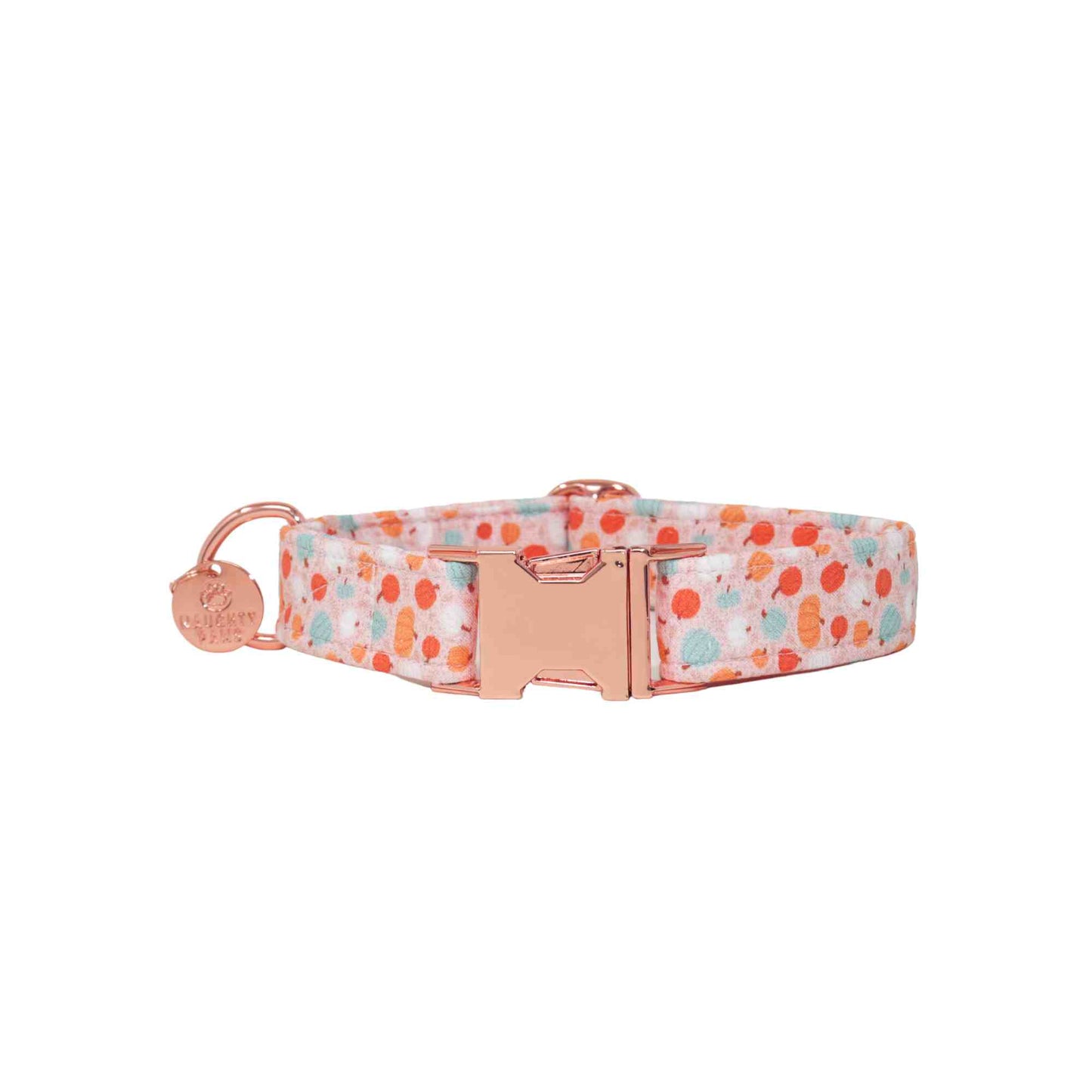 "Pumpkin Spice" Collar