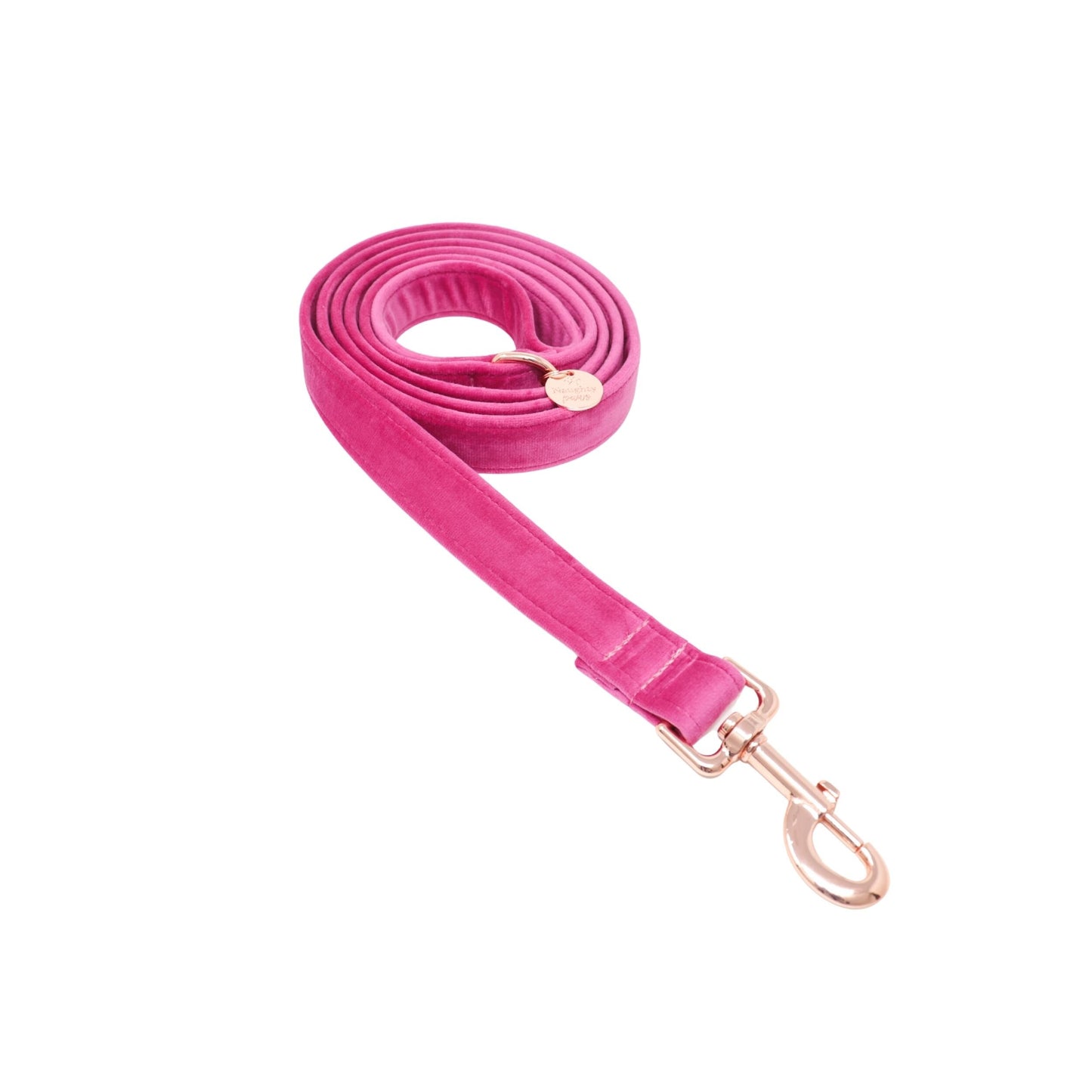 "ELECTRIC LOVE" LEASH