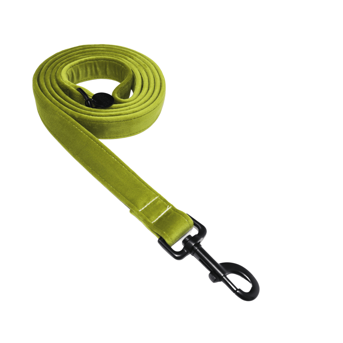 "PALM BEACH" LEASH