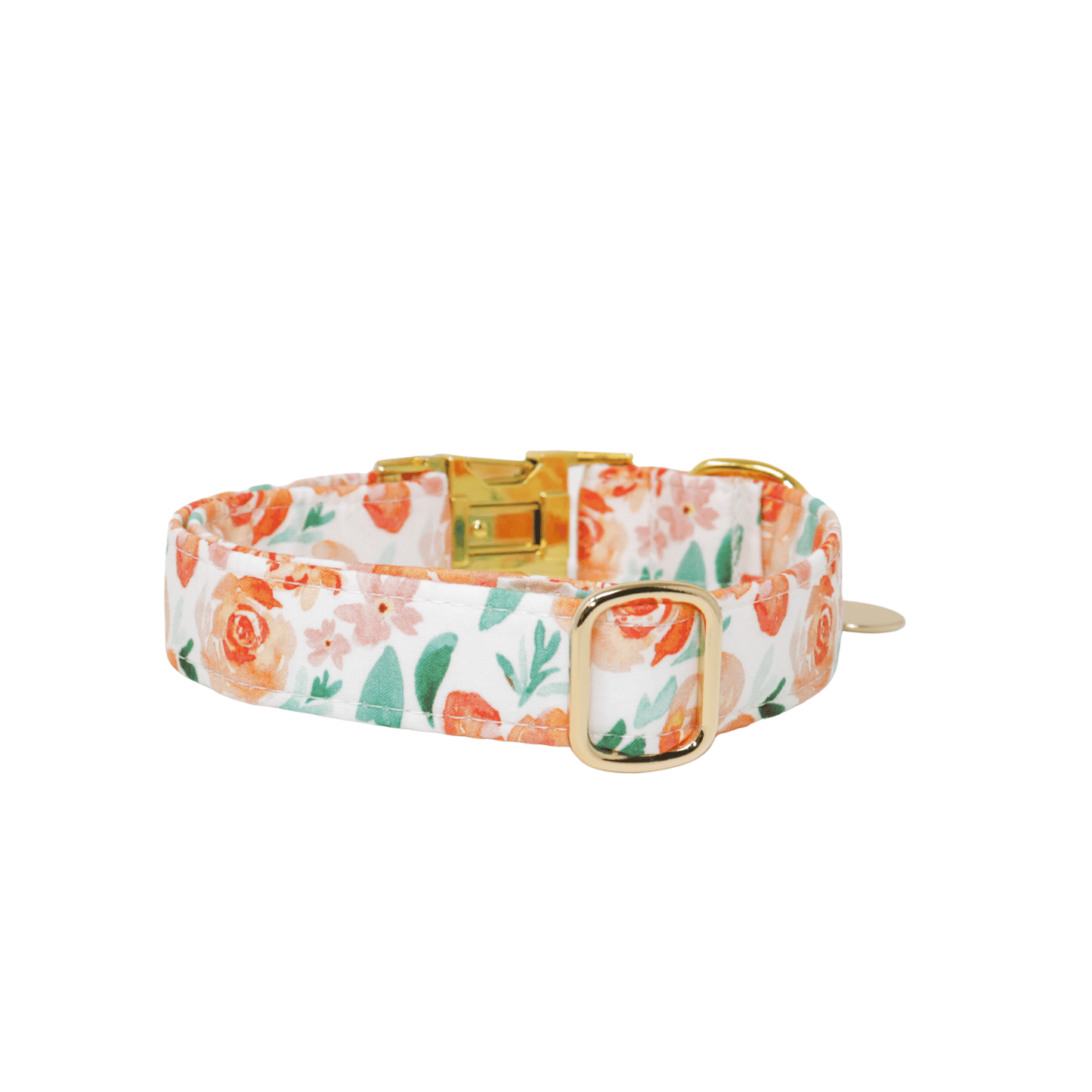 "Sorbet" Collar