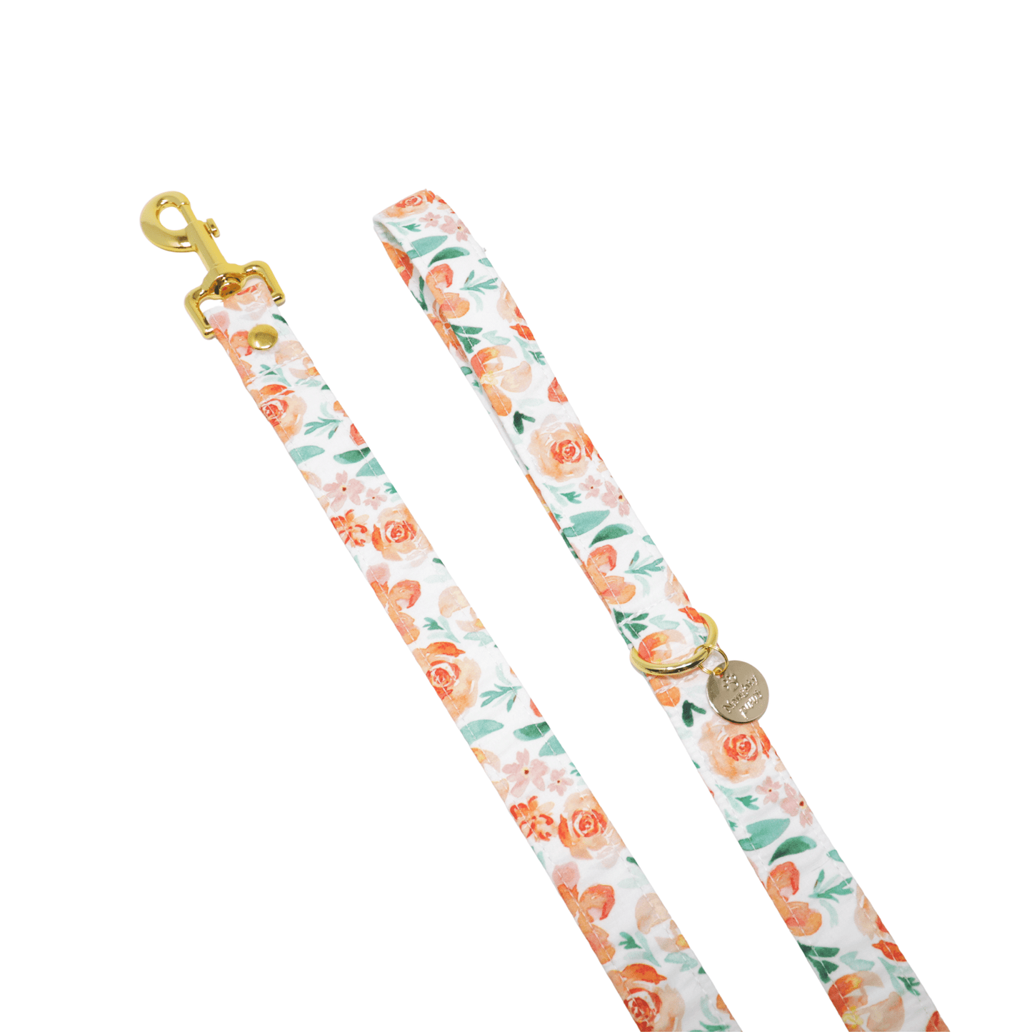 "Sorbet" Leash