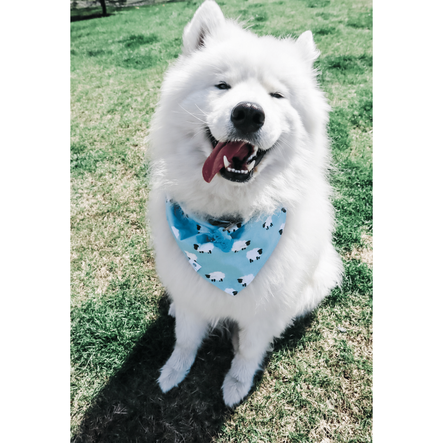 "Aquamarine" Reversible Bandana