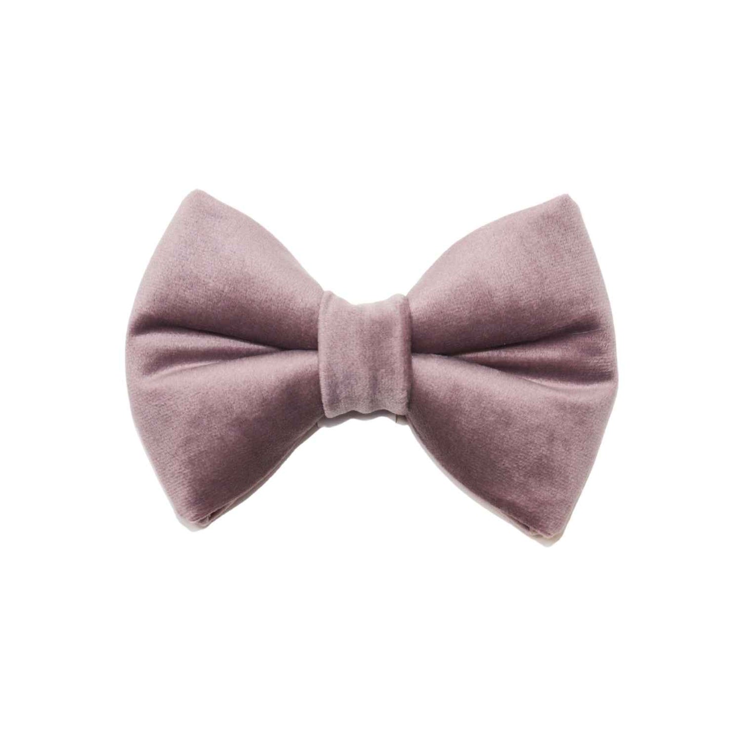 amnesia velvet handmade velvet dog bow tie for weddings