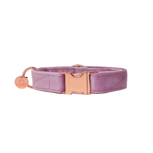 "PRINCESS" COLLAR