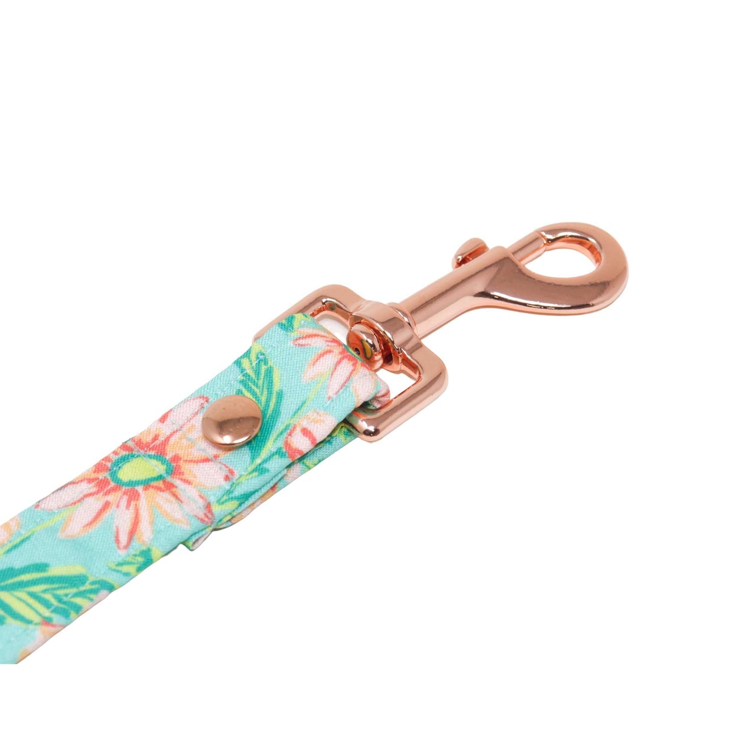 "Riviera Maya" Leash