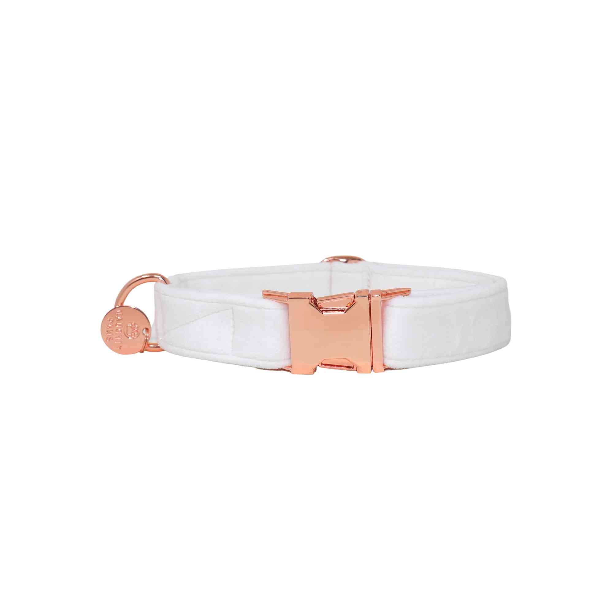 White and on sale gold dog collar