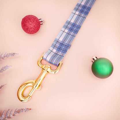 "Frosty Morning" Leash