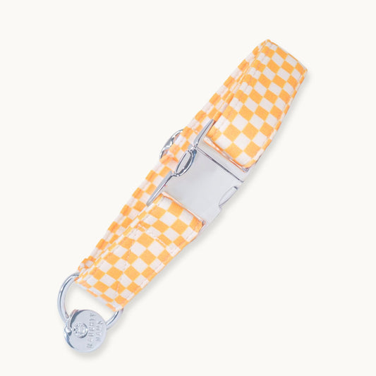 "Honey" Collar