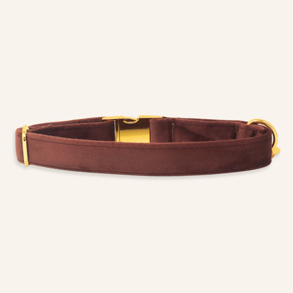 "ESPRESSO" COLLAR