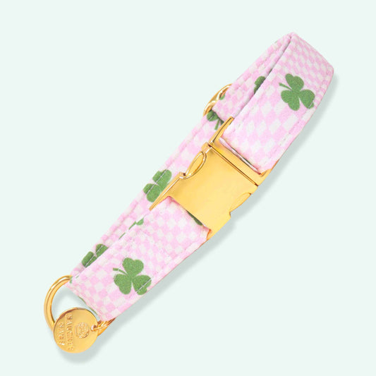 "Pixie Clover" Collar