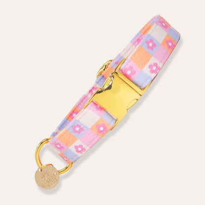 "Daydream Daisy" Collar