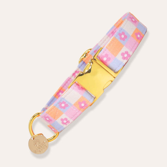 "Daydream Daisy" Collar