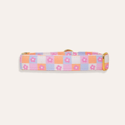"Daydream Daisy" Collar