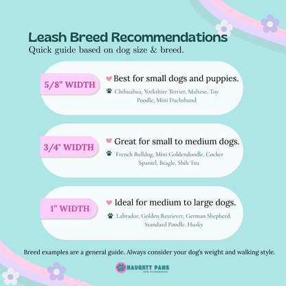 "Bubble Bath" Leash