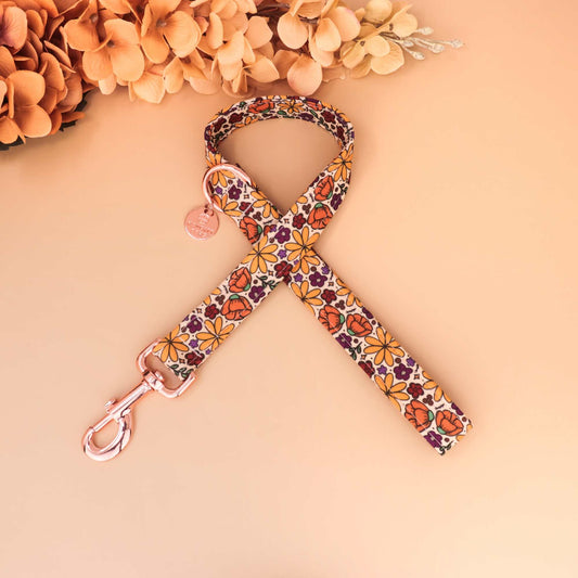 "Golden Poppy" Leash