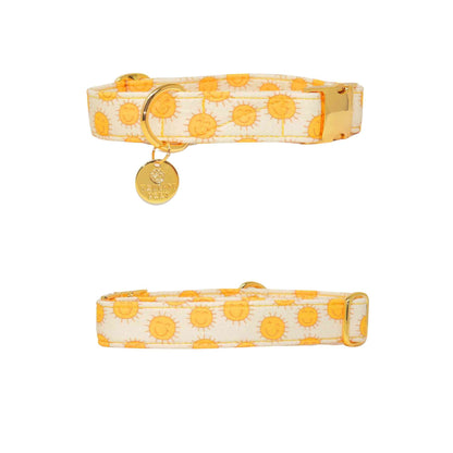 "Golden Glow" Collar