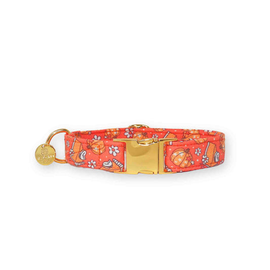 "Harvest Table" Collar