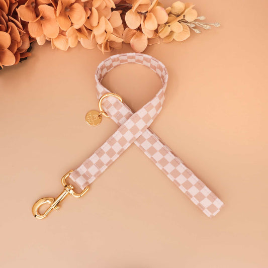 Harvest Market dog leash with pumpkins, florals, and acorns, handmade durable autumn walking lead for fall pets