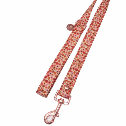 "Autumn Whimsy" Leash