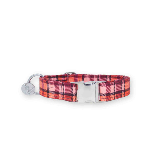 "Autumn Highland" Collar