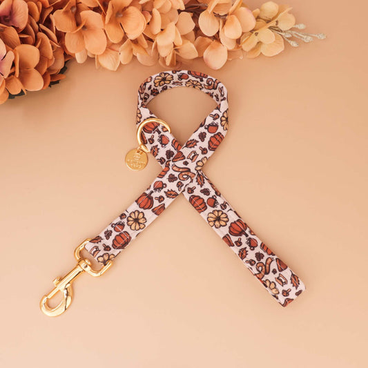 Harvest Market dog leash with pumpkins, florals, and acorns, handmade durable autumn walking lead for fall pets