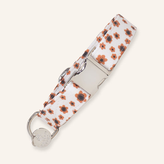 "Cappuccino Blooms" Collar
