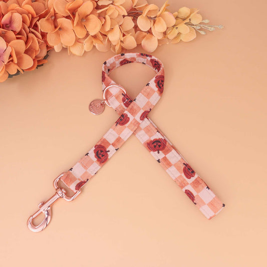 Pumpkin Spice Check dog leash in peach and cream gingham with pumpkins, handmade festive fall walking lead for pets