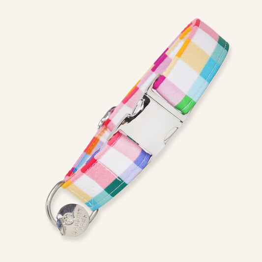 "Checker Board" Collar