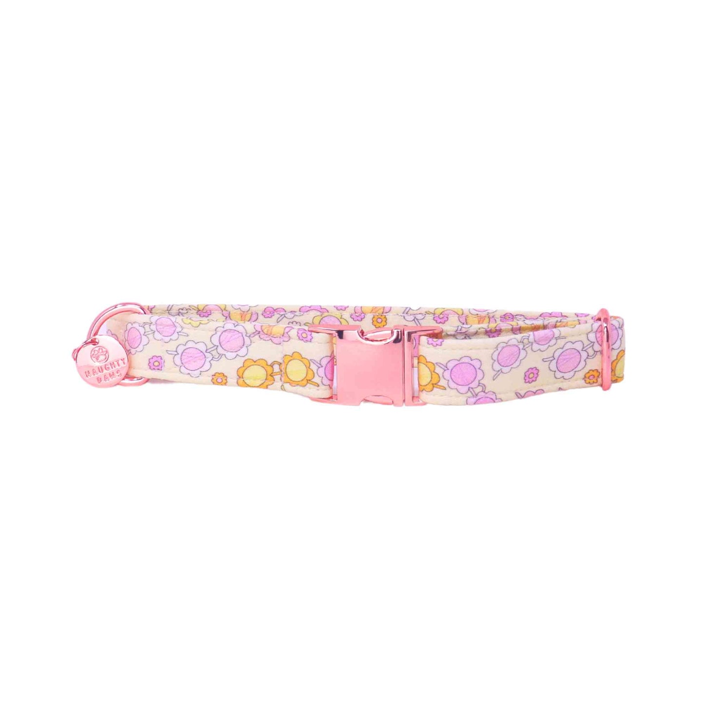 "Retro Ray" Collar