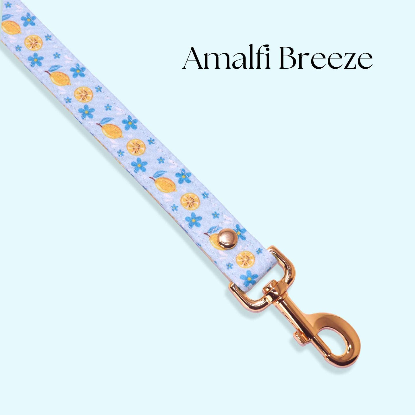 "Amalfi Breeze" Leash