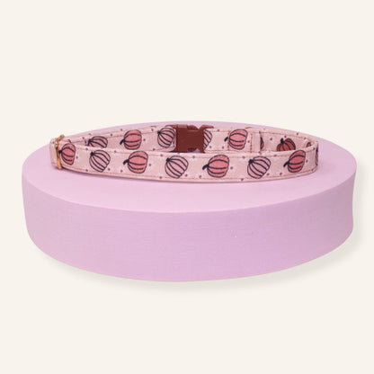 "My Little Pumpkin" Breakaway Cat Collar