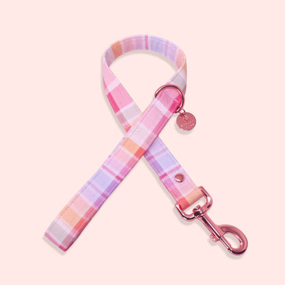 "Summer Sunset" Leash