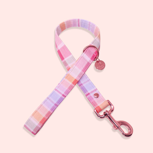 "Summer Sunset" Leash