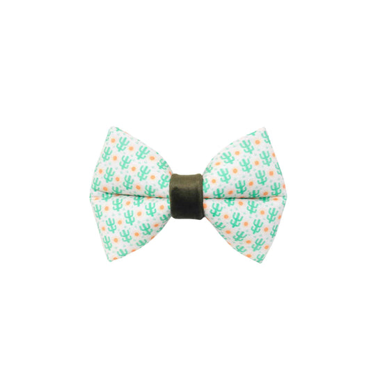 "Cacti" Puffy Bow Tie