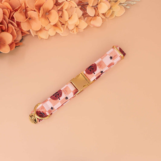 Pumpkin Spice Check dog collar with peach and cream gingham and pumpkins, handmade adjustable in martingale or flat buckle styles