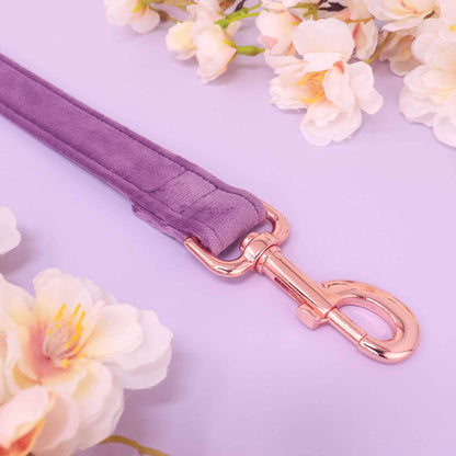 "FLORENCE" LEASH