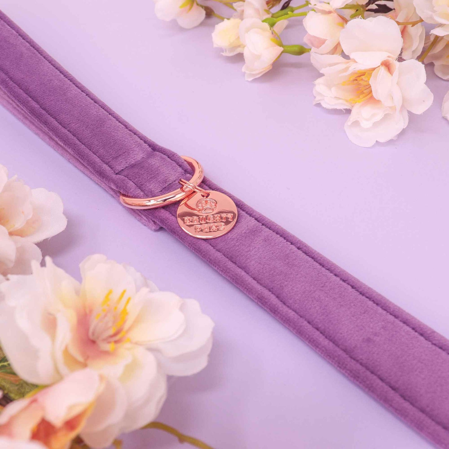 "FLORENCE" LEASH